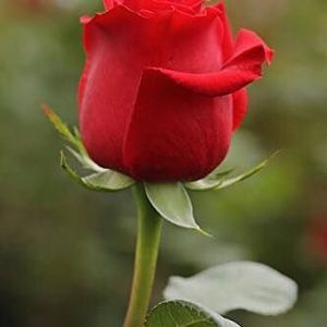 Meet your Posher, Kendra